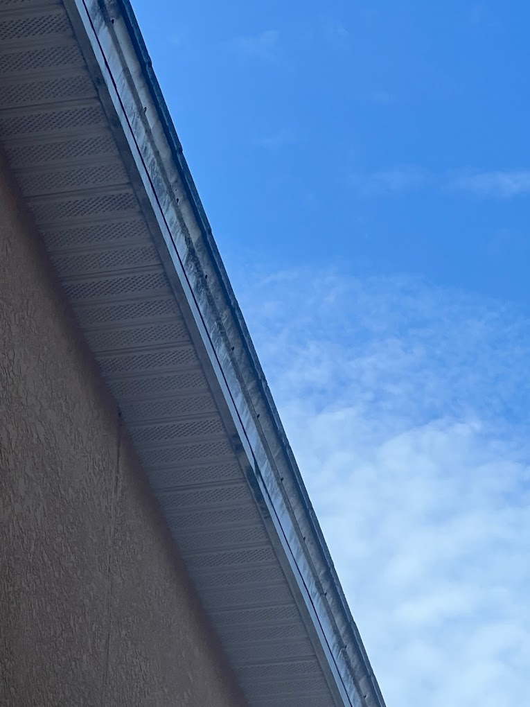 Gutter Cleaning Valrico, FL