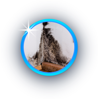 Mold