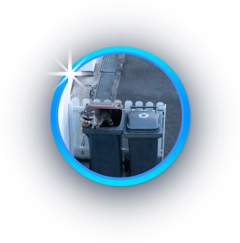 Dumpster Pad Cleaning Valrico, FL