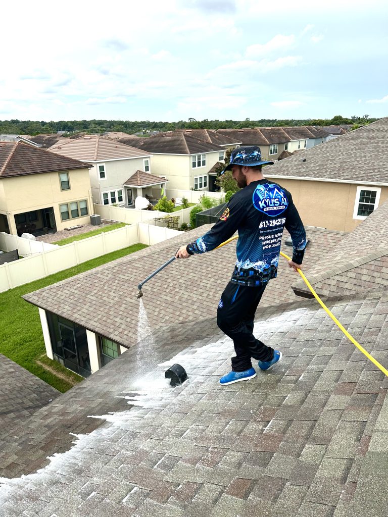 Roof cleaning Valrico, FL